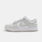 Nike Dunk Low Photon Dust (W), grigio/bianco