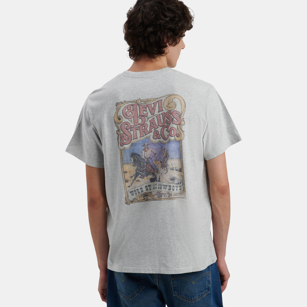 T-shirt Levi's Relaxed Graphic Tee, grigio/multicolor