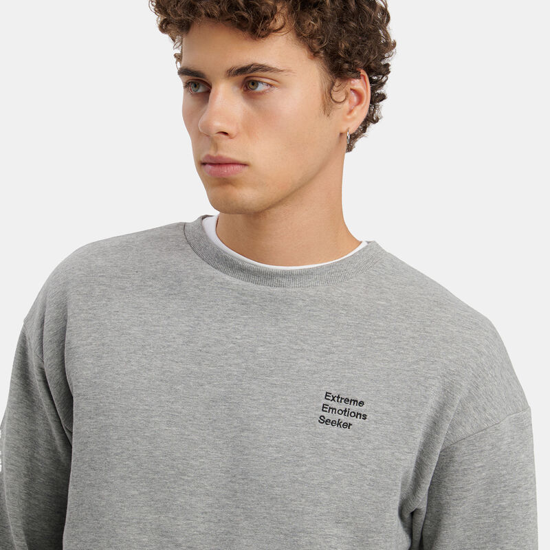 Felpa Speedy Fleece AW LAB Crew, grigio/nero