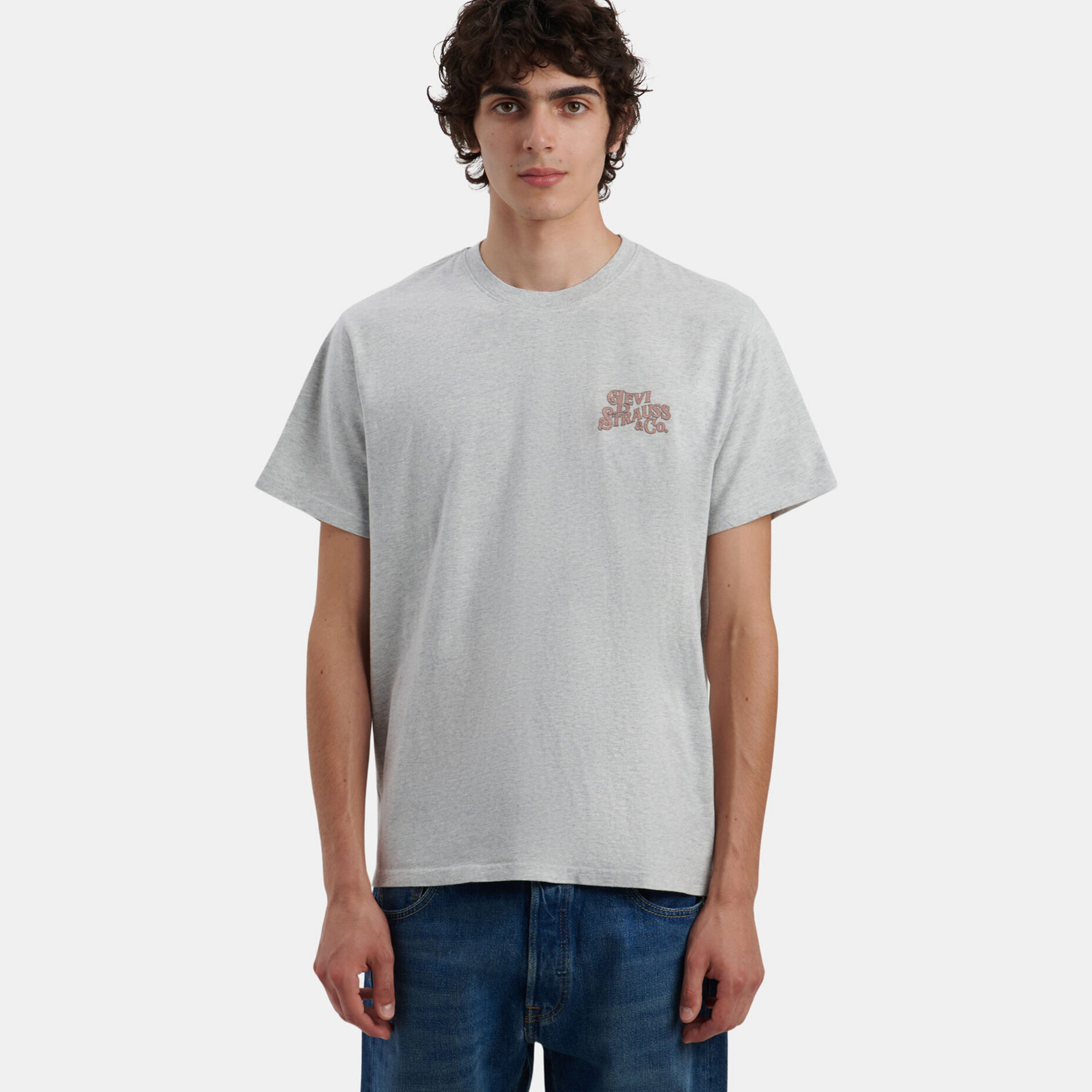 T-shirt Levi's Relaxed Graphic Tee, grigio/multicolor