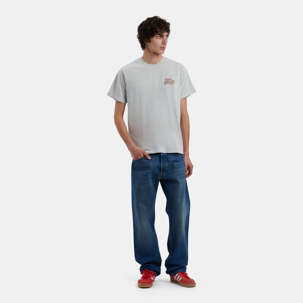 T-shirt Levi's Relaxed Graphic Tee, grigio/multicolor